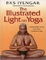 Cover of The Illustrated Light on Yoga