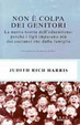 Cover of Non è colpa dei genitori