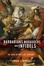 Cover of "Barbarians, Marauders, and Infidels"
