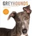 Cover of Greyhounds