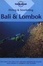 Cover of "Diving and Snorkeling Bali and Lombok"