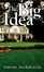 Cover of "The Big Idea"