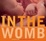 Cover of "In the Womb"
