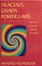Cover of Fractals, Chaos, Power Laws