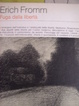 Cover of Fuga dalla libertà