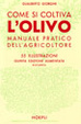 Cover of Come si coltiva l'olivo