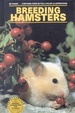 Cover of Breeding Hamsters