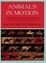 Cover of Animals in Motion