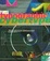 Cover of Typographics 2 Cybertype