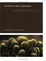 Cover of "Art of RAW Conversion"