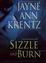 Cover of "Sizzle and Burn"