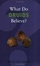 Cover of 'What Do Druids Believe?'