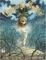 Cover of Cinderella Skeleton