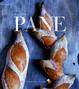 Cover of Pane