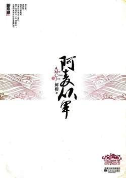 More about 阿麦从军 下