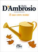 Cover of Il suo vero nome