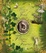 Cover of How to Find Flower Fairies