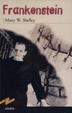 Cover of Frankenstein