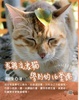 Cover of 我跟流浪貓學到的十六堂課