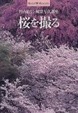 Cover of 桜を撮る―竹内敏信・風景写真講座