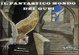 Cover of Il fantastico mondo dei gufi