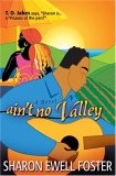 Aint No Valley : A Novel