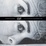 Cover of "Cut/Film As Found Object In Contemporary Video"