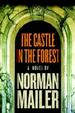Cover of The Castle in the Forest