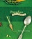 Cover of Paradiso Seasons
