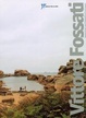 Cover of Vittore Fossati