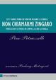 Cover of Non chiamarmi zingaro