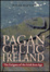Cover of Pagan Celtic Ireland