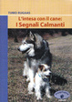 Cover of 