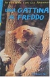 Cover of Una gattina al freddo