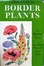 Cover of Collins Guide to Border Plants