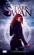 Cover of Dark Swan 01. Sturmtochter