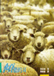Cover of 傾聽的耳