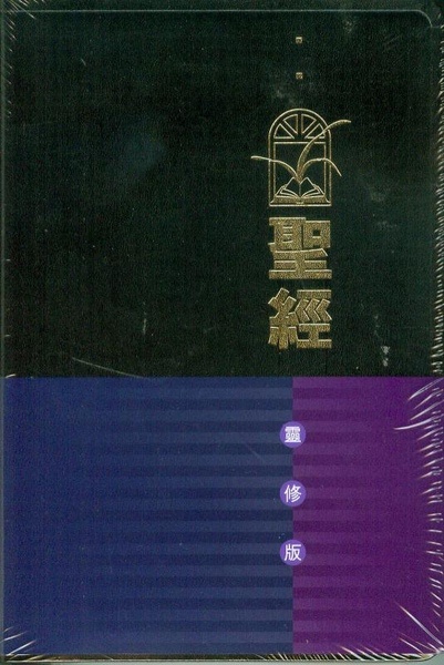 More about 聖經靈修版