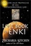Cover of "The Lost Book of Enki"