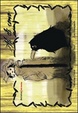 Cover of Ali di corvo