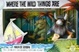 Cover of Where the Wild Things are