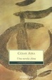 Cover of Una novela China