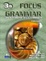 Cover of Focus on Grammar