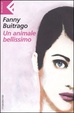 Cover of un animale bellissimo