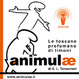 Cover of Animulae