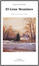 Cover of El Gran Meaulnes