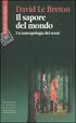Cover of Il sapore del mondo