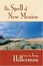 Cover of "The Spell of New Mexico"