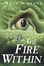 Cover of The Fire Within