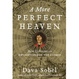 Cover of A More Perfect Heaven